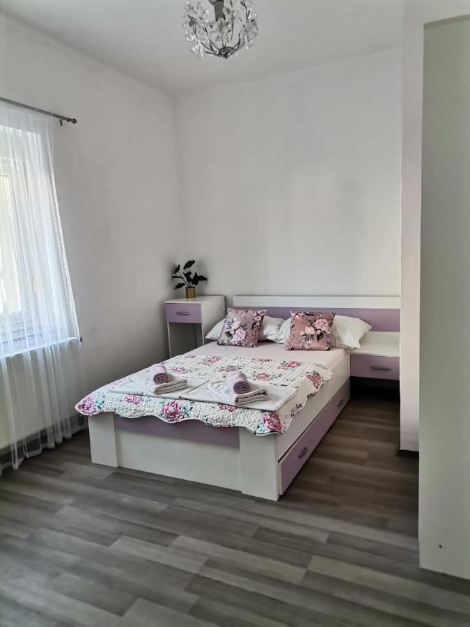Apartmani Sidro Senj Senj  Esterno foto